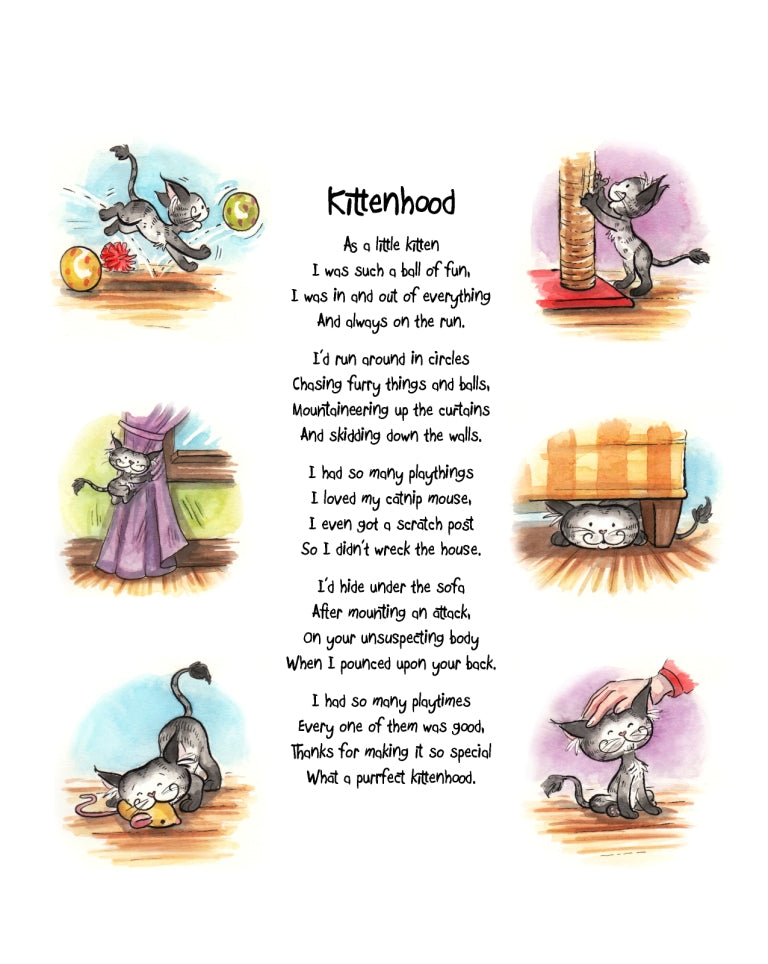 Matisse the Cat's Kittenhood, curious adventure poem. From the second book in the Matisse the Cat Tickly Tales series.
