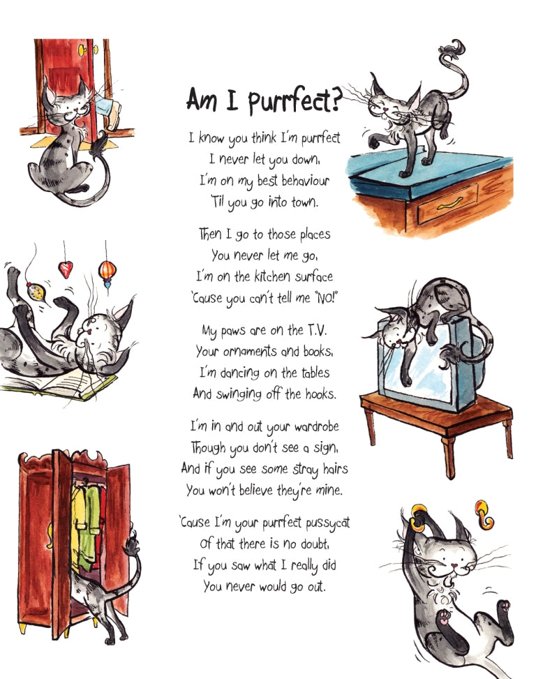 Matisse the Cat's Am I purrfect? curious adventure poem. From the Matisse the Cat Tickly Tales series.