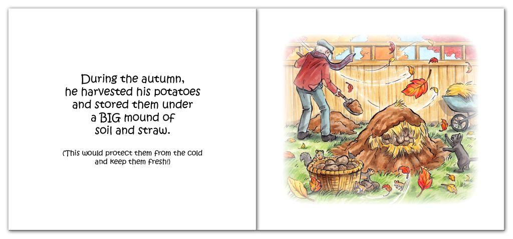 Spud Groling old man storing potatoes in the autumn. A book from The Grolings Secret Tales series, by author Amanda Walsh.